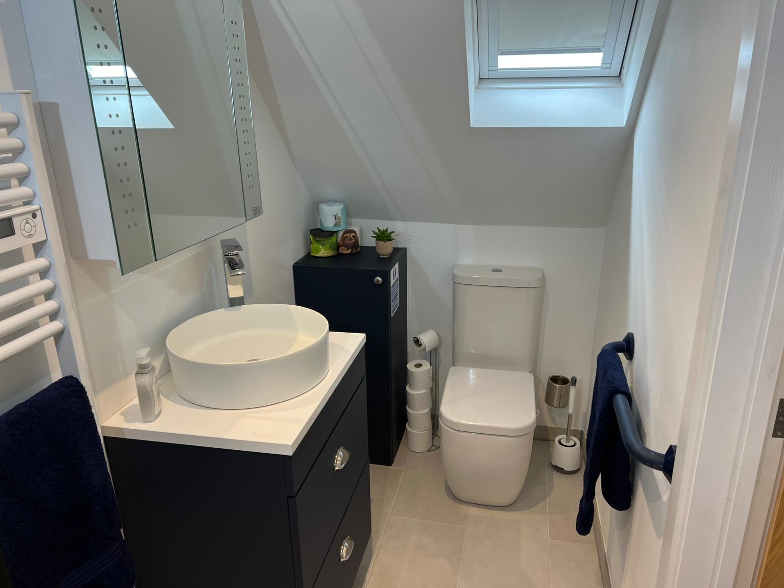 Modern private bathroom with skylight